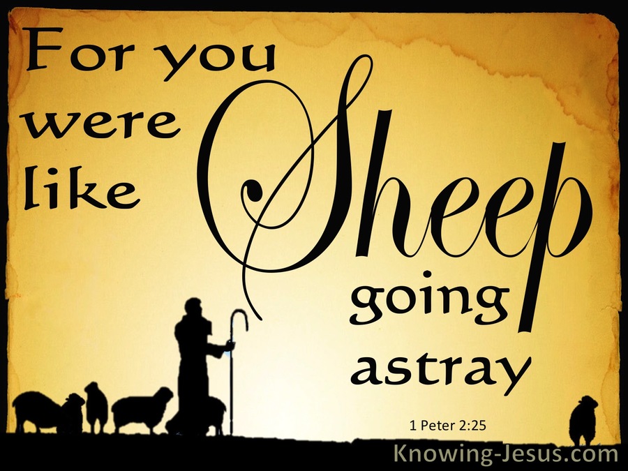 1 Peter 2:25 You Were Like Sheep Going Astray (yellow)